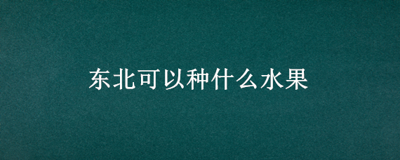 东北可以种什么水果