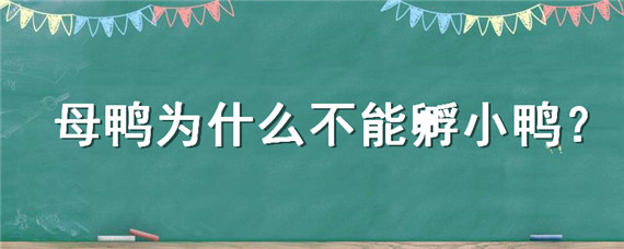 母鸭为什么不能孵小鸭