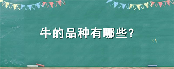 牛的品种有哪些?