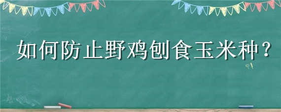 如何防止野鸡刨食玉米种