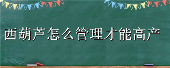 西葫芦怎么管理才能高产"