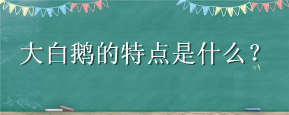 大白鹅的特点是什么