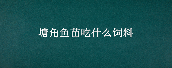 塘角鱼苗吃什么饲料