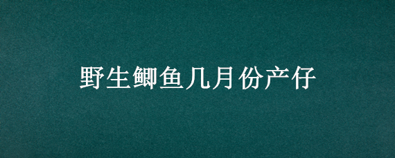 野生鲫鱼几月份产仔