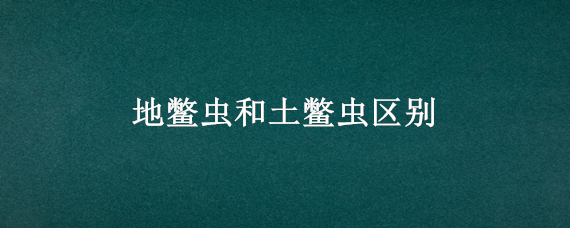 地鳖虫和土鳖虫区别