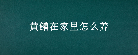 黄鳝在家里怎么养