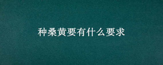 种桑黄要有什么要求