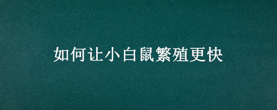 如何让小白鼠繁殖更快