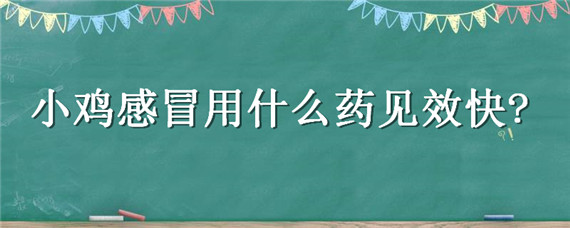 小鸡感冒用什么药见效快