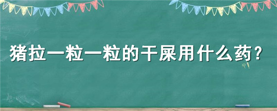 猪拉一粒一粒的干屎用什么药