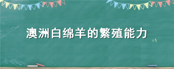 澳洲白绵羊的繁殖能力