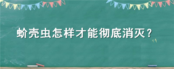 蚧壳虫怎样才能彻底消灭