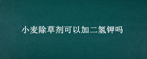 小麦除草剂可以加二氢钾吗