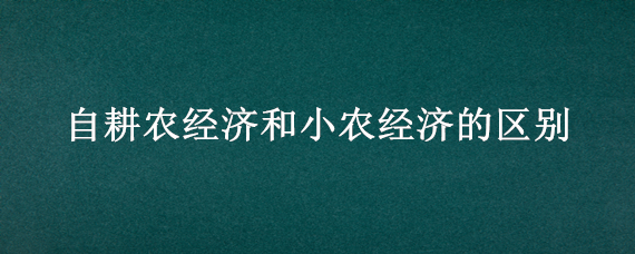 自耕农经济和小农经济的区别