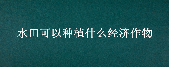 水田可以种植什么经济作物