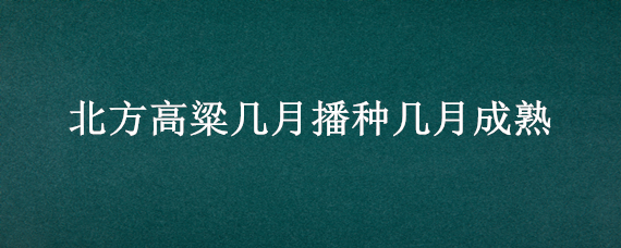 北方高粱几月播种几月成熟