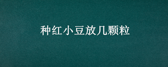 种红小豆放几颗粒"