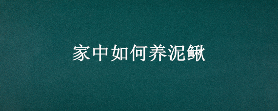 家中如何养泥鳅