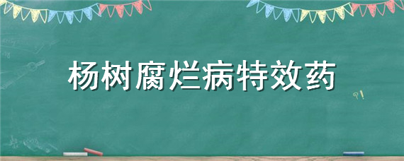 杨树腐烂病特效药