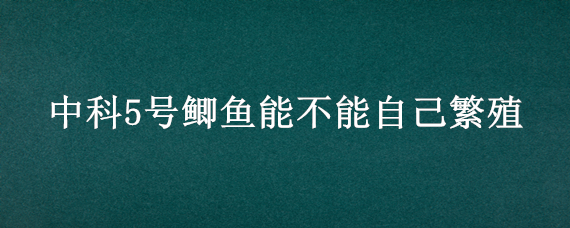 中科5号鲫鱼能不能自己繁殖