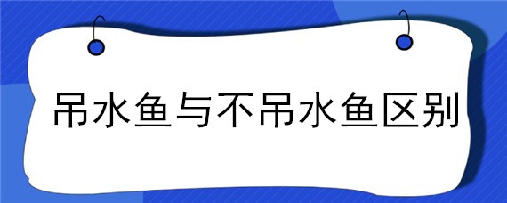 吊水鱼与不吊水鱼区别