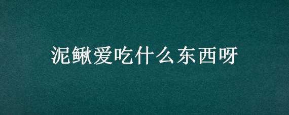 泥鳅爱吃什么东西呀?