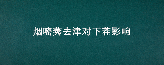 烟嘧莠去津对下茬影响