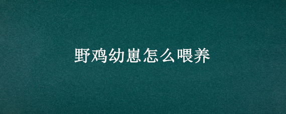 野鸡幼崽怎么喂养