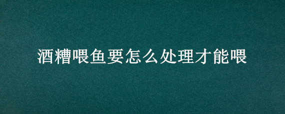 酒糟喂鱼要怎么处理才能喂