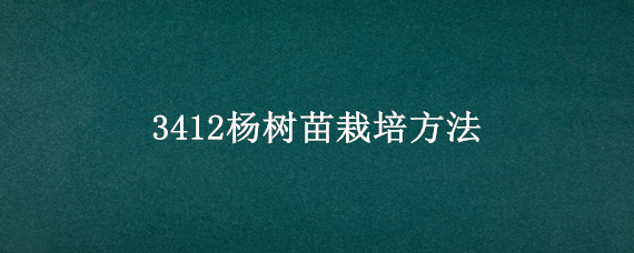 3412杨树苗栽培方法