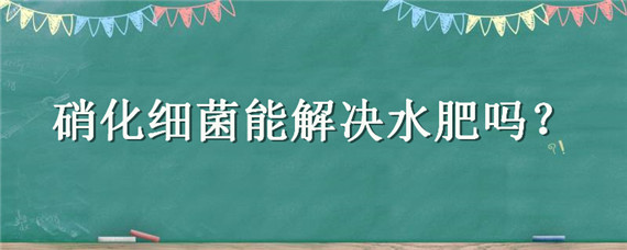 硝化细菌能解决水肥吗