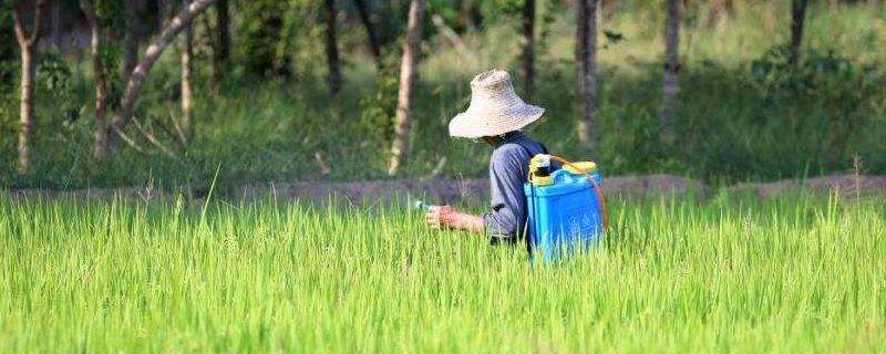 氯虫苯甲酰胺的作用和用途怎么使用