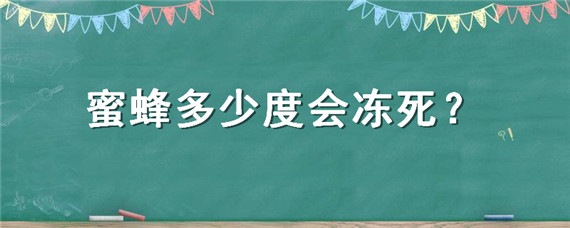 蜜蜂多少度会冻死