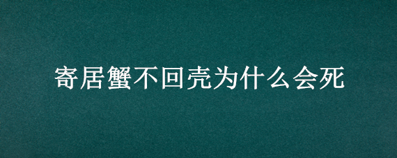 寄居蟹不回壳为什么会死