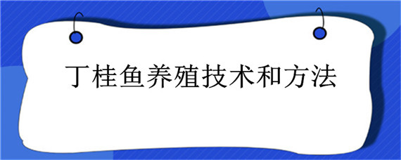 丁桂鱼养殖技术和方法