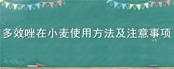 多效唑在小麦使用方法及注意事项