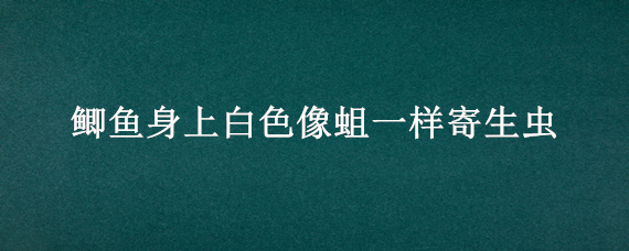 鲫鱼身上白色像蛆一样寄生虫