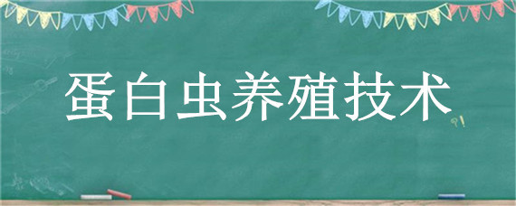 蛋白虫养殖技术