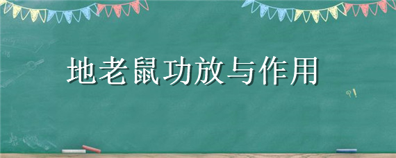 地老鼠功放与作用"