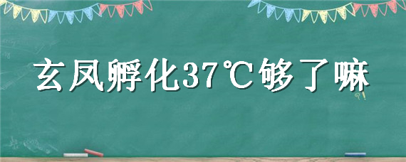 玄凤孵化37℃够了嘛