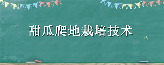 甜瓜爬地栽培技术