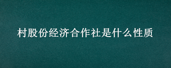 村股份经济合作社是什么性质