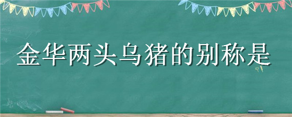 金华两头乌猪的别称是