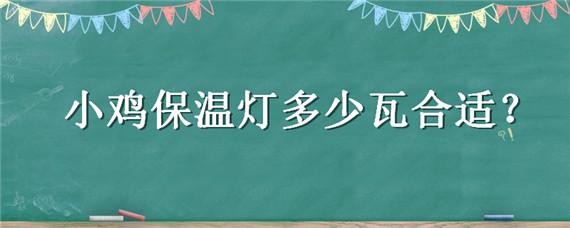 小鸡保温灯多少瓦合适