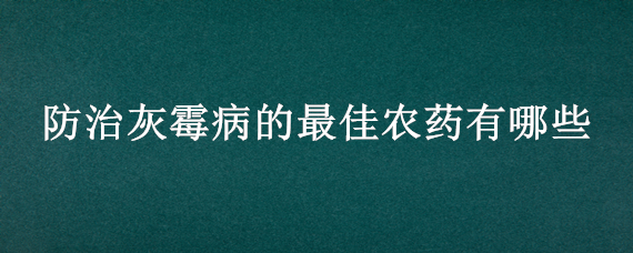 防治灰霉病的最佳农药有哪些