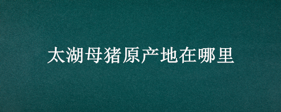 太湖母猪原产地在哪里