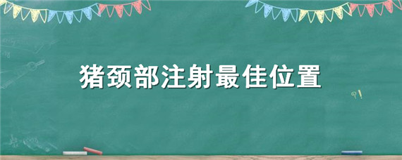 猪颈部注射最佳位置