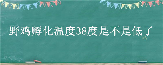 野鸡孵化温度38度是不是低了