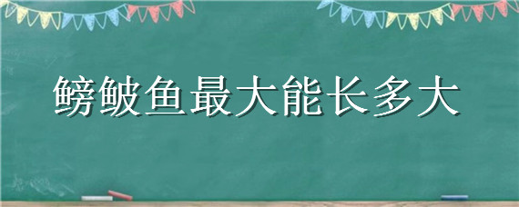 鳑鲏鱼最大能长多大