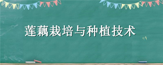 莲藕栽培与种植技术